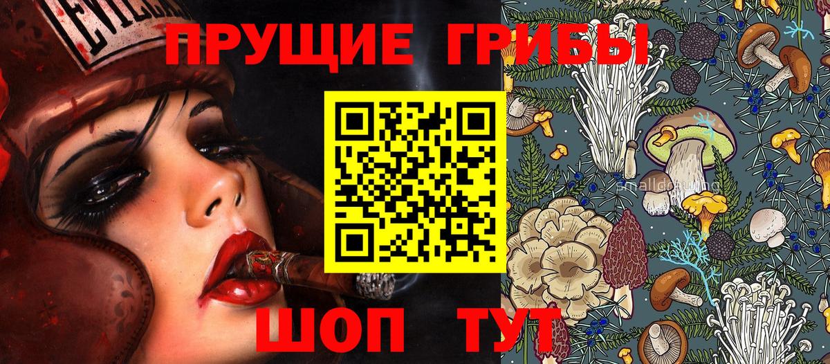 Псилоцибиновые грибы прущие грибы  Псилоцибиновые грибы MAGIC MUSHROOMS  Ноябрьск  Вход с VPN 